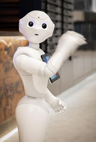 Pepper
