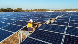 Roxana Simon-Loeys: Energia regenerabilă a atras majoritatea investițiilor în 2021, dar transportul electrificat a crescut mai repede