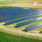 ProCredit Bank Romania grants Solar Global 2.9 million euros for the development of a photovoltaic park in the Cluj County