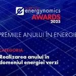 Best Achievement in Green Energy 2025