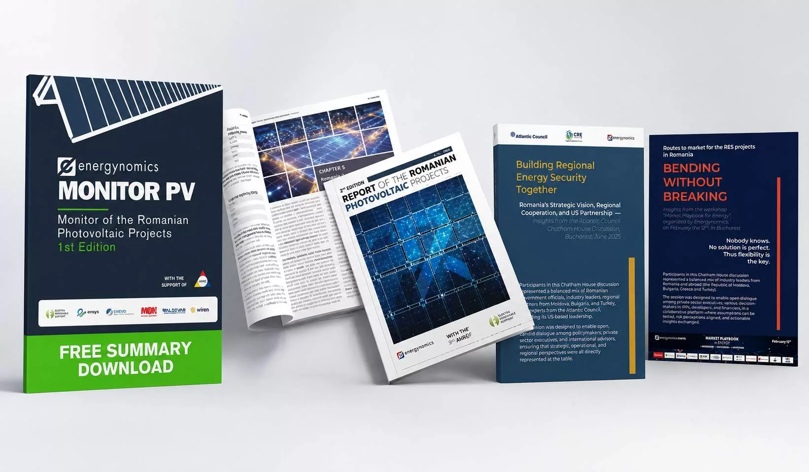 Energynomics Business Intelligence