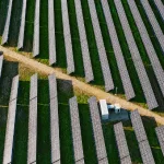 parc-fotovoltaic-CEM-calafat_730x411