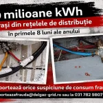 Delgaz Grid site