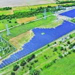 Volatilitatea obligă producătorii să treacă la administrarea comercială activă