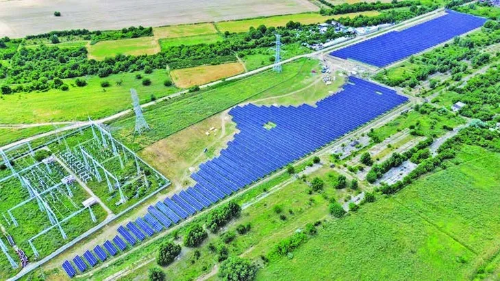 Volatilitatea obligă producătorii să treacă la administrarea comercială activă